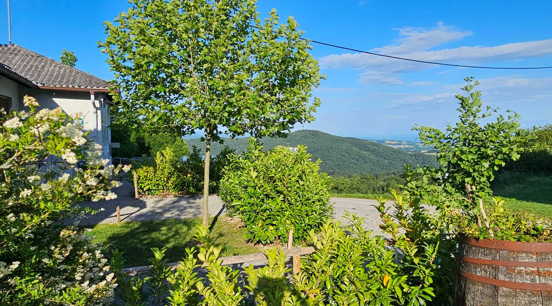 Stellplätze mit Weitblick